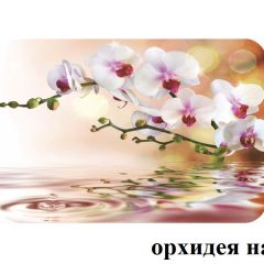 БОСТОН - 2 опоры Брифинг в Губкинском - gubkinskiy.mebel24.online | фото 4
