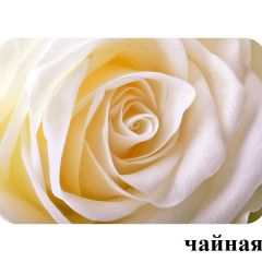 БОСТОН - 2 опоры Брифинг в Губкинском - gubkinskiy.mebel24.online | фото 13