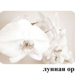 БОСТОН - 2 опоры Брифинг в Губкинском - gubkinskiy.mebel24.online | фото 25
