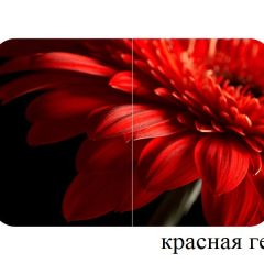 БОСТОН - 2 опоры Триумф в Губкинском - gubkinskiy.mebel24.online | фото 50