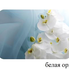 БОСТОН опоры Триумф в Губкинском - gubkinskiy.mebel24.online | фото 13
