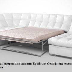 Диван Брайтон со спальным местом (ткань до 300) в Губкинском - gubkinskiy.mebel24.online | фото 2