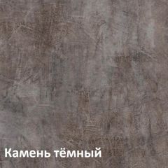 Крафт Полка навесная 15.64 в Губкинском - gubkinskiy.mebel24.online | фото 4