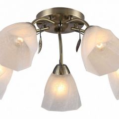 Потолочная люстра Rivoli Olivia Б0052693 в Губкинском - gubkinskiy.mebel24.online | фото