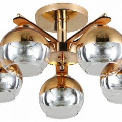 Потолочная люстра Rivoli Zella Б0048219 в Губкинском - gubkinskiy.mebel24.online | фото