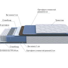 PROxSON Матрас Active Comfort M (Ткань Трикотаж Эко) 140x200 в Губкинском - gubkinskiy.mebel24.online | фото 6