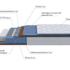 PROxSON Матрас Active Duo M/F (Ткань Трикотаж Эко) 120x200 в Губкинском - gubkinskiy.mebel24.online | фото 6