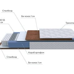 PROxSON Матрас Active F (Ткань Трикотаж Эко) 120x190 в Губкинском - gubkinskiy.mebel24.online | фото 7