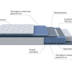 PROxSON Матрас Active M Roll (Ткань Трикотаж Эко) 120x195 в Губкинском - gubkinskiy.mebel24.online | фото 11