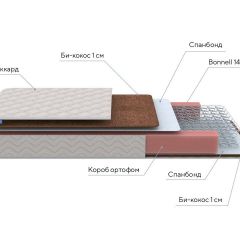 PROxSON Матрас Base Bonnell F Roll (Ткань Жаккард) 160x190 в Губкинском - gubkinskiy.mebel24.online | фото 6