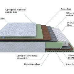 PROxSON Матрас Green M (Tricotage Dream) 120x220 в Губкинском - gubkinskiy.mebel24.online | фото 10