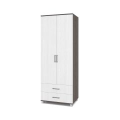 ЕВА Шкаф 2-х дверный Е23 в Губкинском - gubkinskiy.mebel24.online | фото