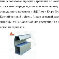 Шкаф-купе 1300 серии SILVER S5+S5+B2+PL3 (2 ящика+2 штанги) профиль «Серебро» в Губкинском - gubkinskiy.mebel24.online | фото 4