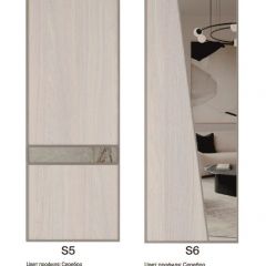 Шкаф-купе 1300 серии SILVER S5+S5+B2+PL3 (2 ящика+2 штанги) профиль «Серебро» в Губкинском - gubkinskiy.mebel24.online | фото 11