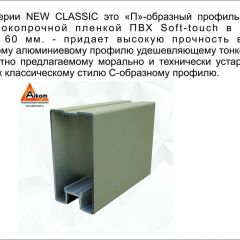 Шкаф-купе 1500 серии NEW CLASSIC K3+K3+B2+PL1 (2 ящика+1 штанга) профиль «Капучино» в Губкинском - gubkinskiy.mebel24.online | фото 5