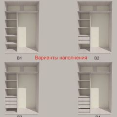 Шкаф-купе 1500 серии SILVER S3+S4+B2+PL4 (2 ящика+F обр.штанга) профиль «Серебро» в Губкинском - gubkinskiy.mebel24.online | фото 5
