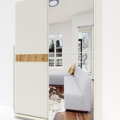 Шкаф-купе 1600 серии SOFT D6+D4+B2+PL2 (2 ящика+1штанга+1 полка) профиль «Капучино» в Губкинском - gubkinskiy.mebel24.online | фото 2