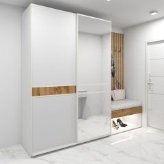 Шкаф-купе 1600 серии SOFT D6+D4+B2+PL2 (2 ящика+1штанга+1 полка) профиль «Капучино» в Губкинском - gubkinskiy.mebel24.online | фото 5