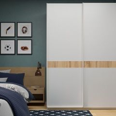 Шкаф-купе 1600 серии SOFT D6+D6+B2+PL3 (2 ящика+2штанги) профиль «Капучино» в Губкинском - gubkinskiy.mebel24.online | фото 5