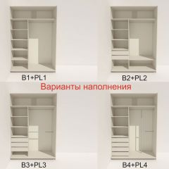 Шкаф-купе 1600 серии SOFT D6+D6+B2+PL3 (2 ящика+2штанги) профиль «Капучино» в Губкинском - gubkinskiy.mebel24.online | фото 6