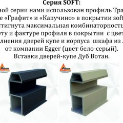 Шкаф-купе 1600 серии SOFT D6+D6+B2+PL3 (2 ящика+2штанги) профиль «Капучино» в Губкинском - gubkinskiy.mebel24.online | фото 12
