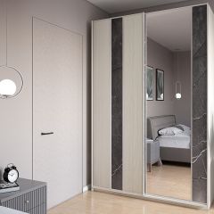 Шкаф-купе 1700 серии SILVER S4+S3Z+B2+PL1 (2 ящика+1 штанга) профиль «Серебро» в Губкинском - gubkinskiy.mebel24.online | фото