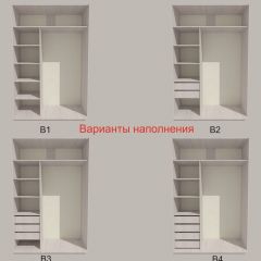 Шкаф-купе 1700 серии SILVER S4+S3Z+B2+PL1 (2 ящика+1 штанга) профиль «Серебро» в Губкинском - gubkinskiy.mebel24.online | фото 5