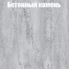 Шкаф-купе Бассо 1.0 (Дуб Крафт серый/Бетонный камень) 2 двери ЛДСП в Губкинском - gubkinskiy.mebel24.online | фото 3