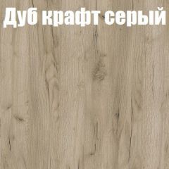 Шкаф-купе Бассо 1.0 (Дуб Крафт серый/Бетонный камень) 2 двери ЛДСП 2 зеркальные вставки в Губкинском - gubkinskiy.mebel24.online | фото 4