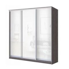 Шкаф-купе ХИТ 24-20/2-888 (620) в Губкинском - gubkinskiy.mebel24.online | фото 9