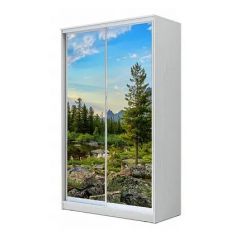 Шкаф-купе ХИТ 24-4-17-77 (420) в Губкинском - gubkinskiy.mebel24.online | фото