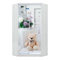 Шкаф-купе ХИТ-У-23-4-77 в Губкинском - gubkinskiy.mebel24.online | фото