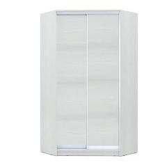 Шкаф-купе ХИТ-У-24-4-11 в Губкинском - gubkinskiy.mebel24.online | фото