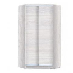 Шкаф-купе ХИТ-У-24-4-11 в Губкинском - gubkinskiy.mebel24.online | фото 5