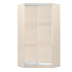 Шкаф-купе ХИТ-У-24-4-11 в Губкинском - gubkinskiy.mebel24.online | фото 7