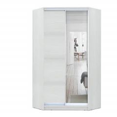 Шкаф-купе ХИТ-У-24-4-15 в Губкинском - gubkinskiy.mebel24.online | фото