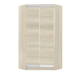 Шкаф-купе ХИТ-У-L-24-64-11 в Губкинском - gubkinskiy.mebel24.online | фото 8