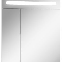 Шкаф-зеркало Аврора 65 с подсветкой LED Домино (DV8006HZ) в Губкинском - gubkinskiy.mebel24.online | фото 1