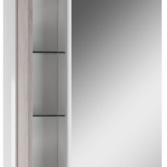 Шкаф-зеркало Uno 60 Дуб серый левый/правый Домино (DU1503HZ) в Губкинском - gubkinskiy.mebel24.online | фото 3