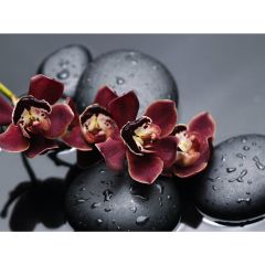 Стол обеденный Бостон Ст101.1 орхидеи в Губкинском - gubkinskiy.mebel24.online | фото 3