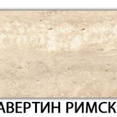 Стол обеденный Паук пластик  Аламбра в Губкинском - gubkinskiy.mebel24.online | фото 37