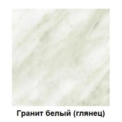 Столешница 1000*h38*600 в Губкинском - gubkinskiy.mebel24.online | фото