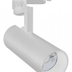 Светильник на штанге Escada 20029 20029TRA/01LED SWH в Губкинском - gubkinskiy.mebel24.online | фото
