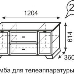 Тумба для телеаппаратуры Венеция 21 бодега в Губкинском - gubkinskiy.mebel24.online | фото 3