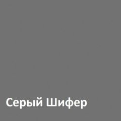 Юнона Шкаф торцевой 13.221 в Губкинском - gubkinskiy.mebel24.online | фото 2