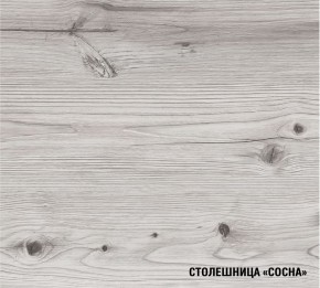 АСАЯ Кухонный гарнитур Экстра 2 (3000 мм) ПМ в Губкинском - gubkinskiy.mebel24.online | фото 8