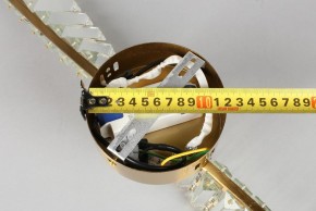 Бра Aployt Olimp APL.045.01.10 в Губкинском - gubkinskiy.mebel24.online | фото 12