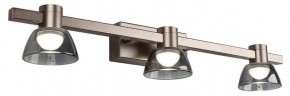 Бра Aployt Rezeda APL.788.01.03 в Губкинском - gubkinskiy.mebel24.online | фото