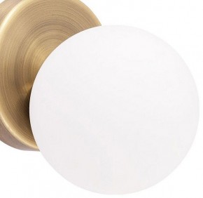 Бра Arte Lamp Bolla-piccolo A3989AP-1AB в Губкинском - gubkinskiy.mebel24.online | фото