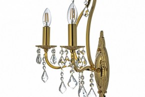 Бра Arti Lampadari Ercolano Ercolano E 2.1.2.602 G в Губкинском - gubkinskiy.mebel24.online | фото 6